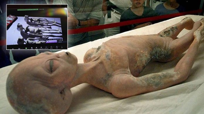 «Δηλώσεις για UFO: ΗΠΑ κατέχουν σώματα 4 εξωγήινων τύπων» «Δηλώσεις για UFO: ΗΠΑ κατέχουν σώματα 4 εξωγήινων τύπων»
