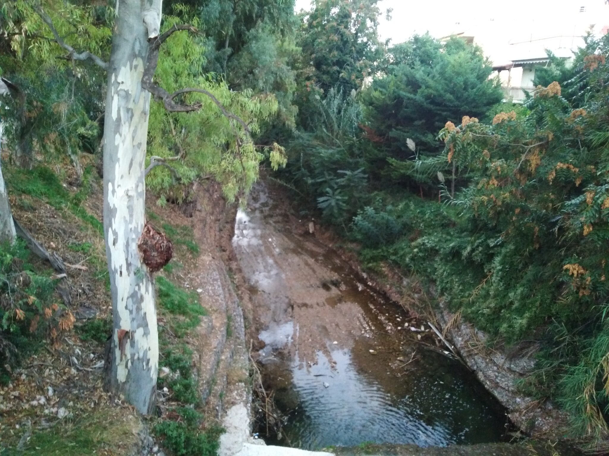 Εκδηλώσεις στη Ρεματιά Χαλανδρίου στα πλαίσια της Παγκόσμιας Ημέρας Περιβάλλοντος