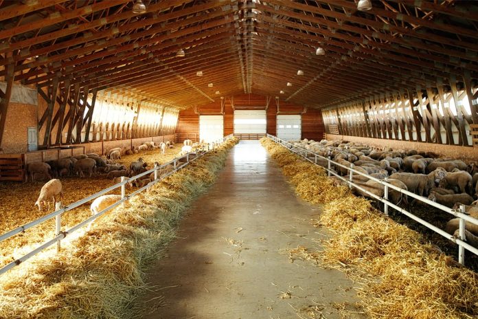 FAO: Ζωικές Ασθένειες και οι Επιπτώσεις στην Επισιτιστική Ασφάλεια FAO: Ζωικές Ασθένειες και οι Επιπτώσεις στην Επισιτιστική Ασφάλεια