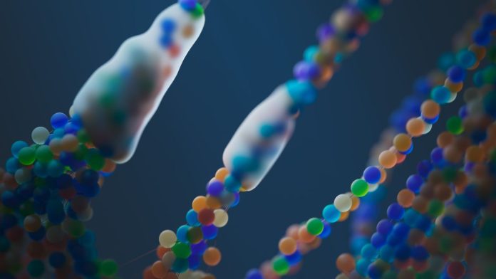 Αρχαίο ανθρώπινο DNA: Οι κάτοικοι Ειρηνικών Νήσων ως μάρτυρες Αρχαίο ανθρώπινο DNA: Οι κάτοικοι Ειρηνικών Νήσων ως μάρτυρες