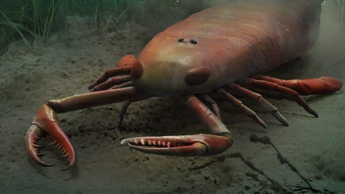 «Praearcturus gigas: Ο πιο μεγάλος σκορπιός στην ιστορία» «Praearcturus gigas: Ο πιο μεγάλος σκορπιός στην ιστορία»