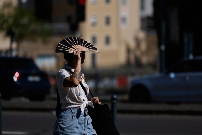 «Θερμική Εξάντληση vs Θερμοπληξία: Σημάδια και Αντιμετώπιση» «Θερμική Εξάντληση vs Θερμοπληξία: Σημάδια και Αντιμετώπιση»