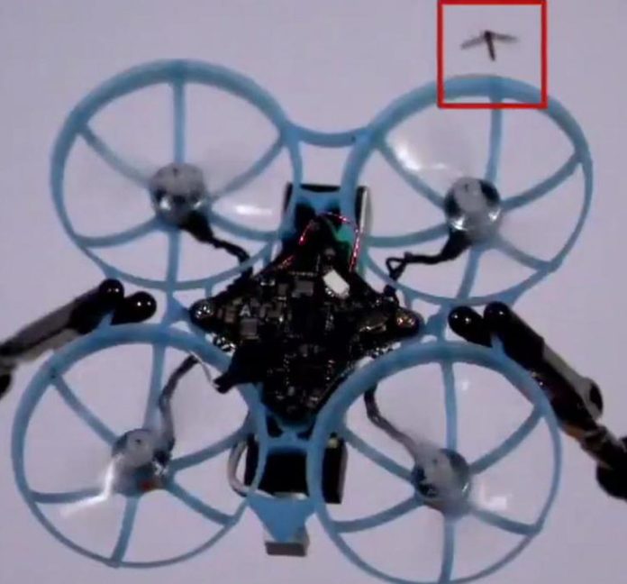 Drone κατά κουνουπιών: Εξολόθρευση στον αέρα