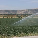 Θεσσαλία: Υδροφόρος ορίζοντας σε πτώση – Τι αποκαλύπτουν οι μελέτες