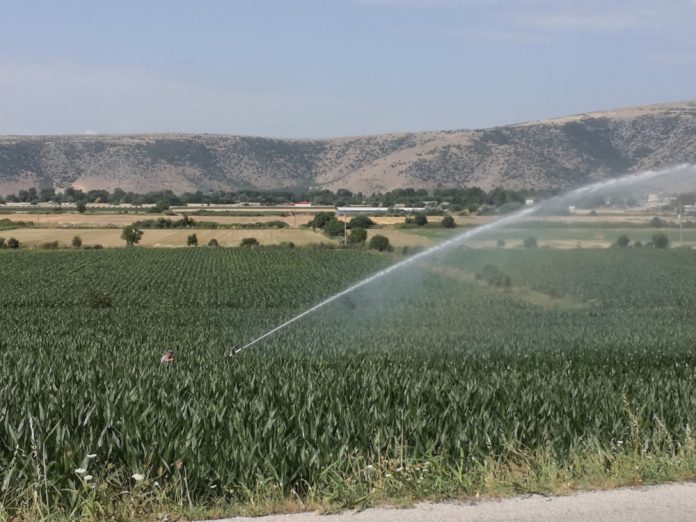 Θεσσαλία: Υδροφόρος ορίζοντας σε πτώση – Τι αποκαλύπτουν οι μελέτες Θεσσαλία: Υδροφόρος ορίζοντας σε πτώση – Τι αποκαλύπτουν οι μελέτες