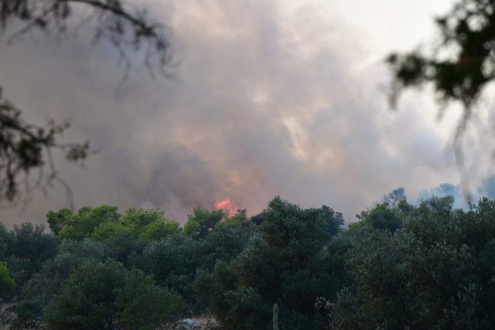 Καπνός & Σωματίδια: Πώς να Προστατευτείτε Αποτελεσματικά Καπνός & Σωματίδια: Πώς να Προστατευτείτε Αποτελεσματικά
