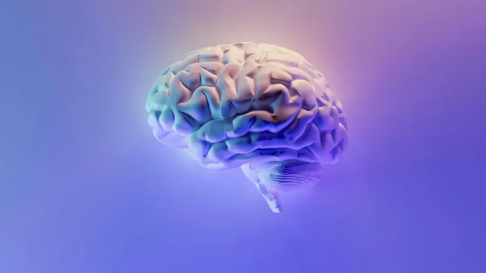 Arena.ai: Δοκιμή της πλατφόρμας που συγκρίνει δωρεάν AI μοντέλα Arena.ai: Δοκιμή της πλατφόρμας που συγκρίνει δωρεάν AI μοντέλα