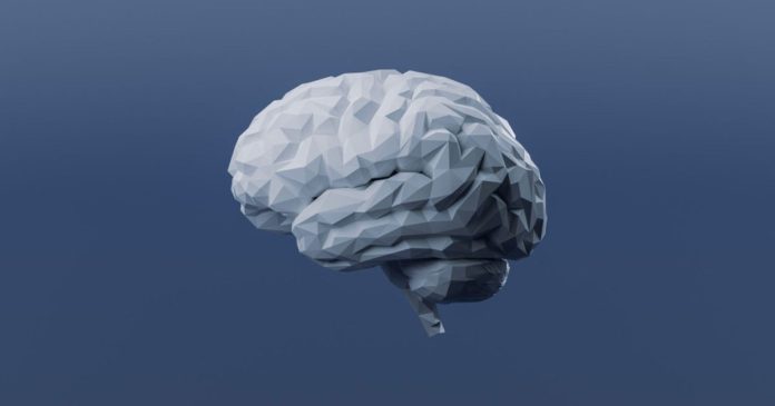 AI chip μιμείται την παρεγκεφαλίδα με ελάχιστη ενέργεια