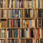Σκαναρισμένα βιβλία: Γιατί οι εταιρείες AI τα καταστρέφουν