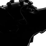 BreathEasy: Σκύλοι και AI ανιχνεύουν τον καρκίνο νωρίς