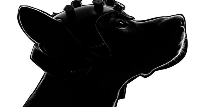 BreathEasy: Σκύλοι και AI ανιχνεύουν τον καρκίνο νωρίς