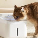 Xiaomi Mijia 2: Έξυπνη ποτίστρα κατοικιδίων με αποστείρωση
