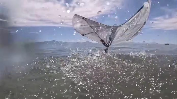 Drone MIT: Το νέο ρομπότ που βουτά σαν πουλί